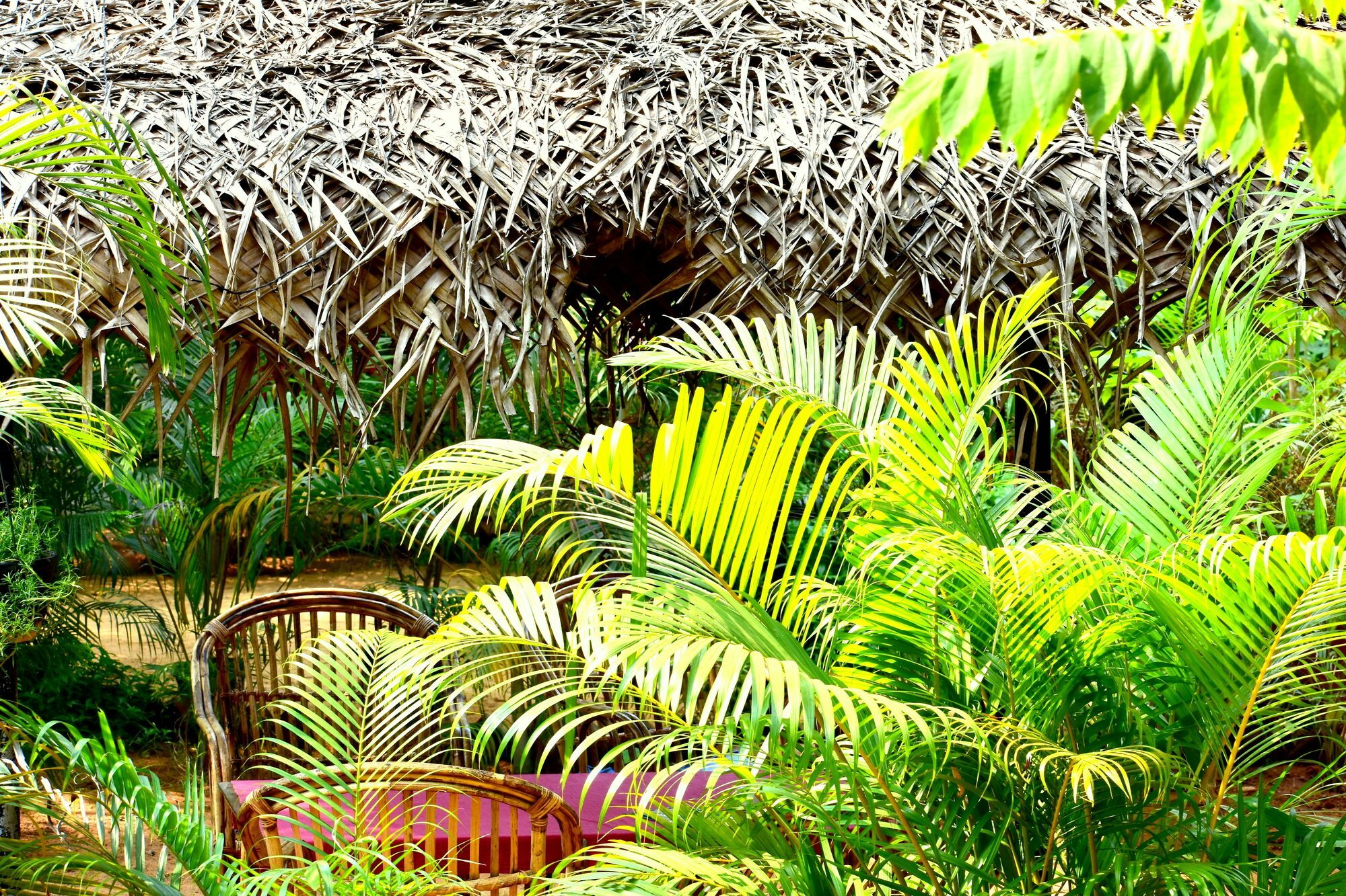 Patnem Garden Resort 3*